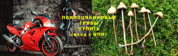 a pvp Бронницы