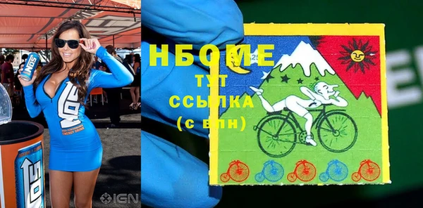 прущий лед Бородино