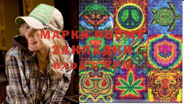 прущий лед Бородино