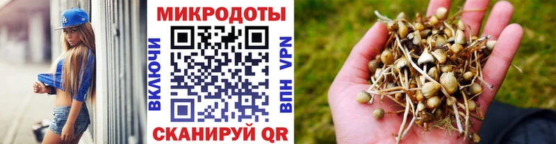 Купить где  Городец  Галлюциногенные грибы MAGIC MUSHROOMS 