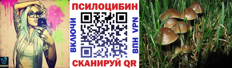 Галлюциногенные грибы мухоморы Городец